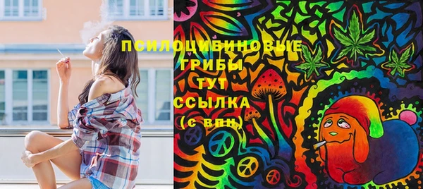 первитин Горняк
