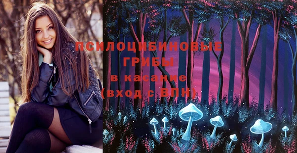 первитин Горняк