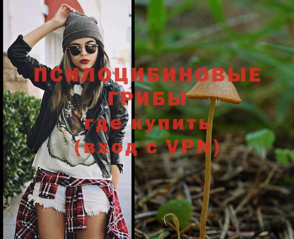 первитин Горняк