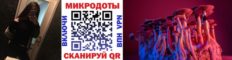 Галлюциногенные грибы Cubensis  Купить  Прохладный 